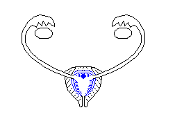 traccia 3: l'endometrio si sviluppa dal suo sottile strato basale