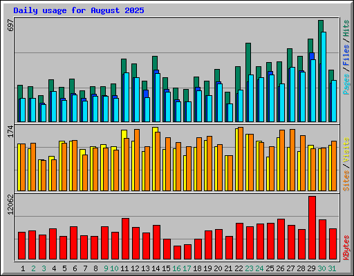 Daily usage for August 2025