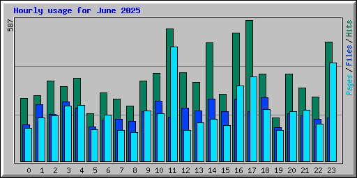 Hourly usage for June 2025