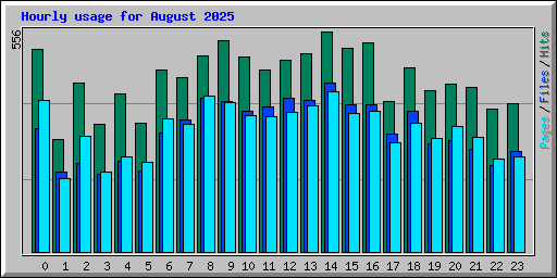 Hourly usage for August 2025