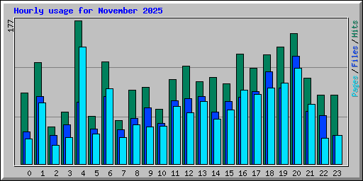Hourly usage for November 2025